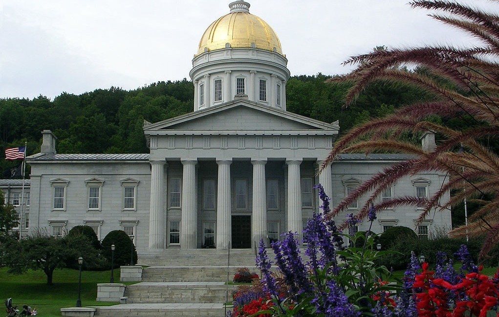 Making Ibogaine Treatment Legal in Vermont: An Interview with Bonnie Scott