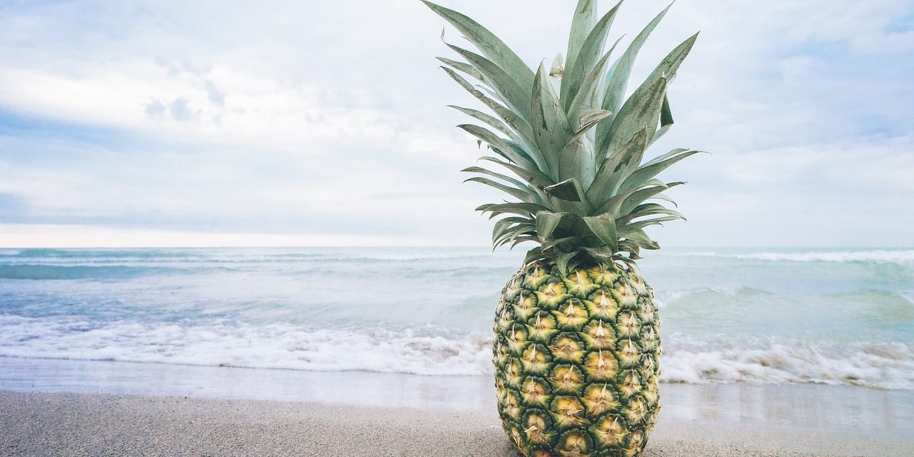 Pineapple Fund Donates 60 Bitcoin to MAPS in Delicate Time for Crypto and Psychedelics