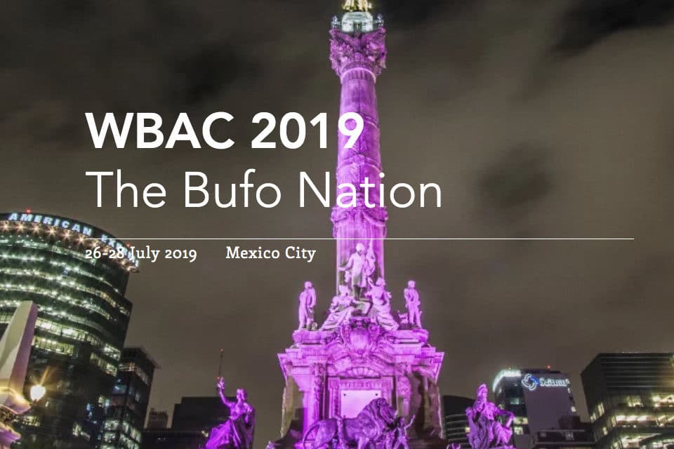 Upcoming World Bufo Alvarius Congress Looks to Nurture Global 5-MeO-DMT Community