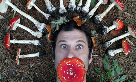 Psychedelics, Mysticism and Ritual Magick: Interview with Author and Historian Tom Hatsis