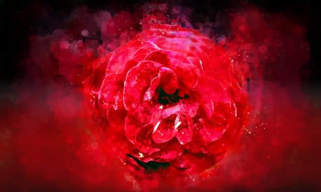 The Rose Of Paracelsus: On Secrets & Sacraments by William Leonard Pickard – An Appreciation by Dave Lee