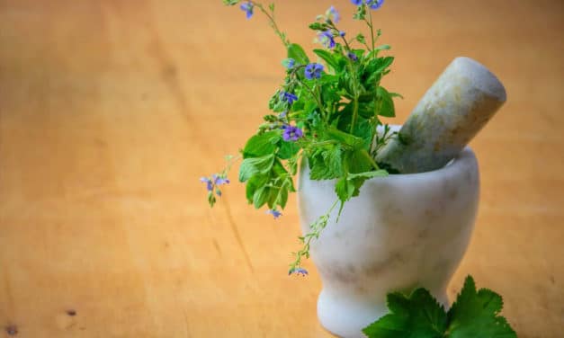 Bay Area Healers Resilience Fund Seeks Donations To Support Integrative Healers