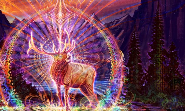 Learning From Animals with Psychedelic Intelligence