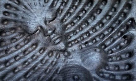 Ancestors in the Wood: Interview with Visionary Wood Carver Chris Isner